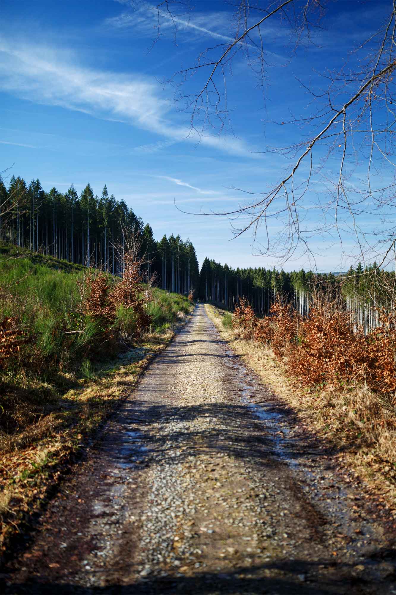 Chemin vers Deux-Rys