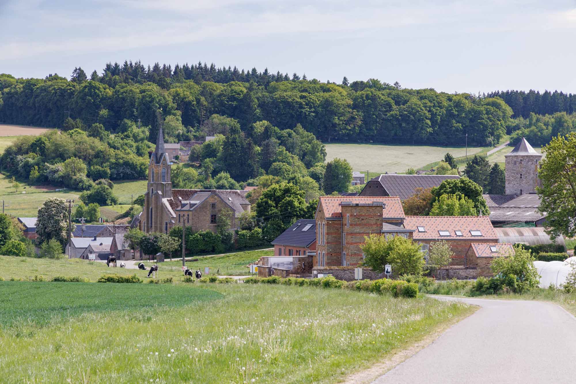Dorp Ossogne omgeven door weiden en landbouwlandschap in de Condroz.