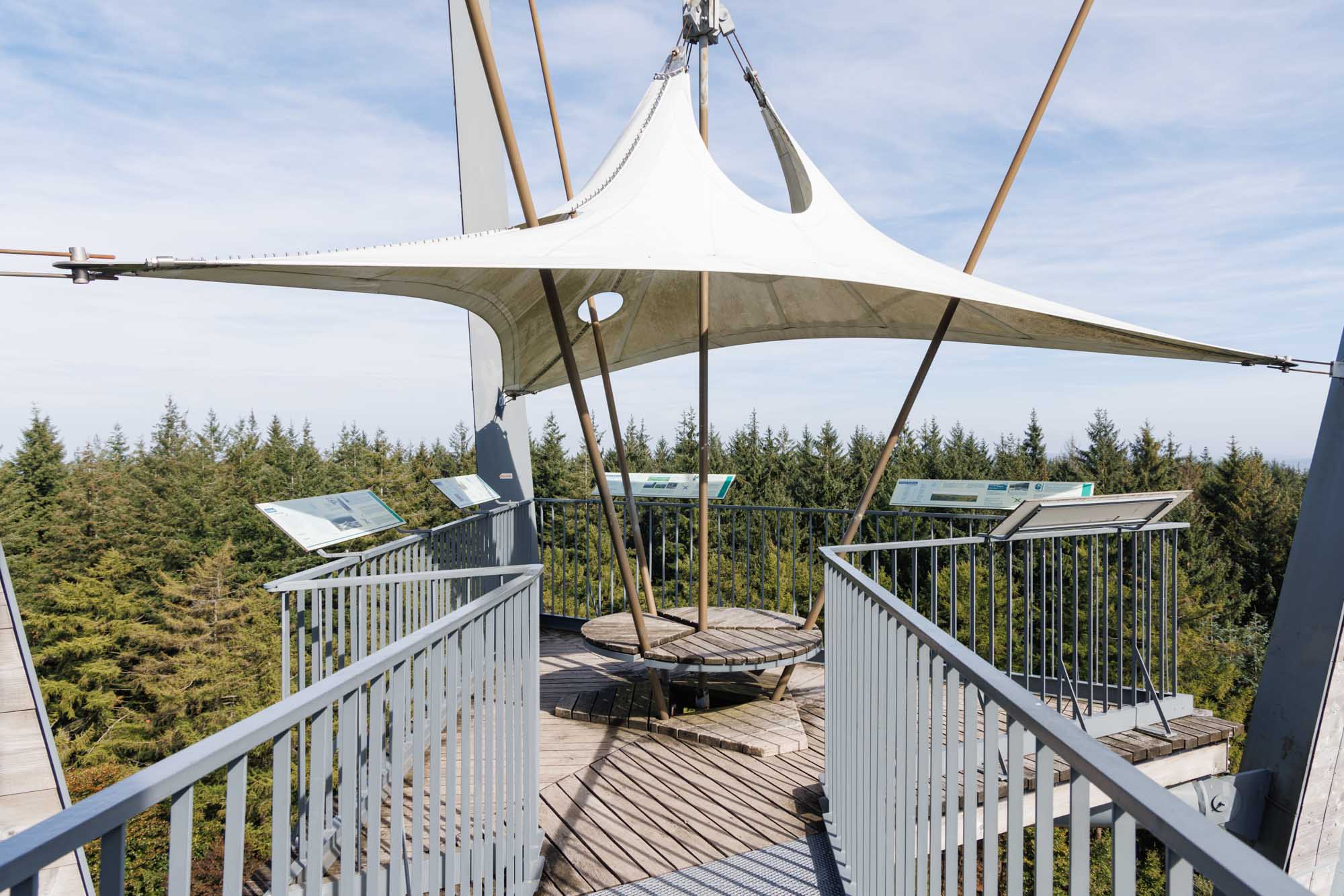 Plateforme de la Tour du Millénaire dominant la forêt de la Croix-Scaille