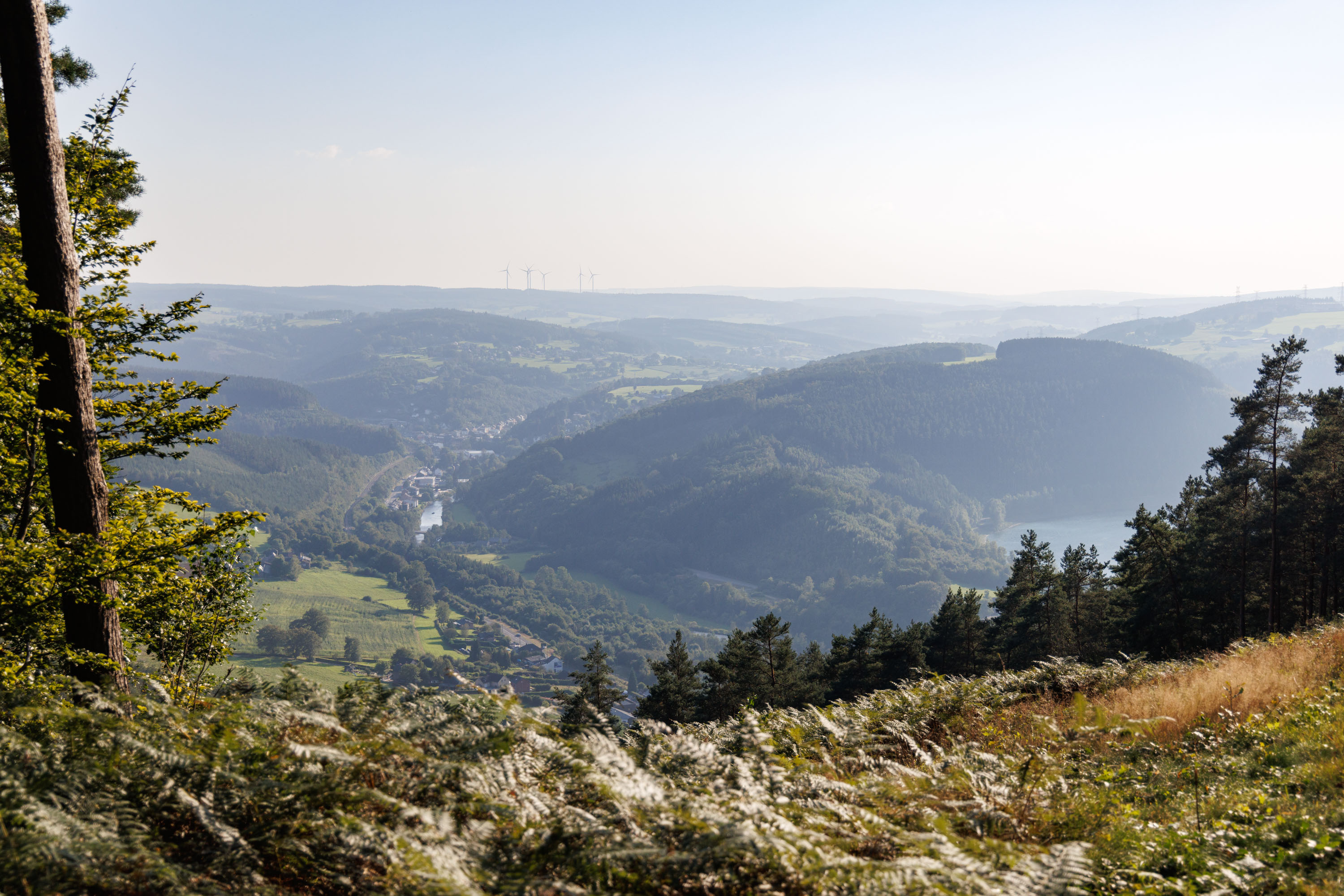 Vue vers Trois-Ponts depuis les sommets de Coo