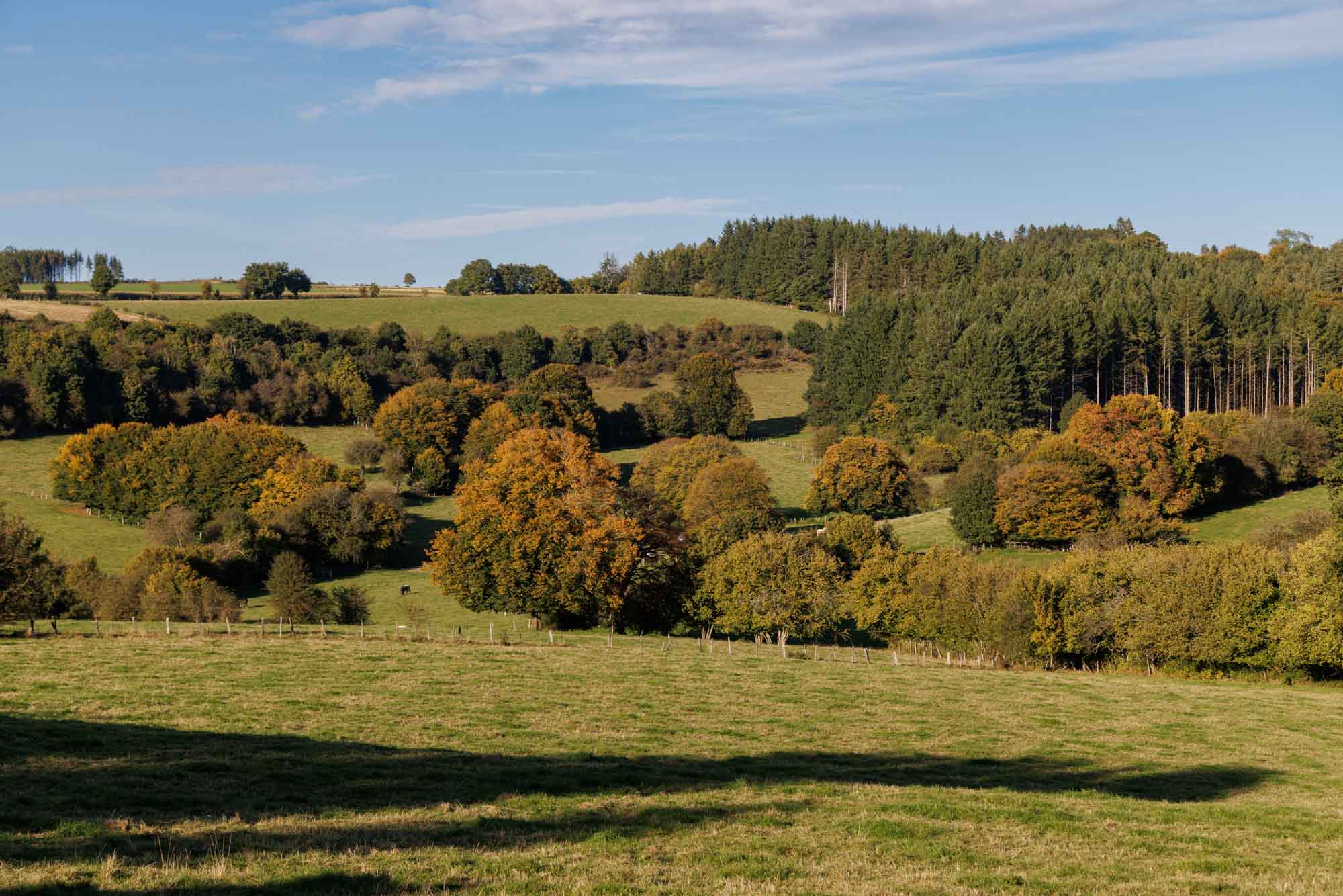 Campagne de Mont avec prairies vallonnées, arbres aux couleurs d’automne et forêts en Ardenne.