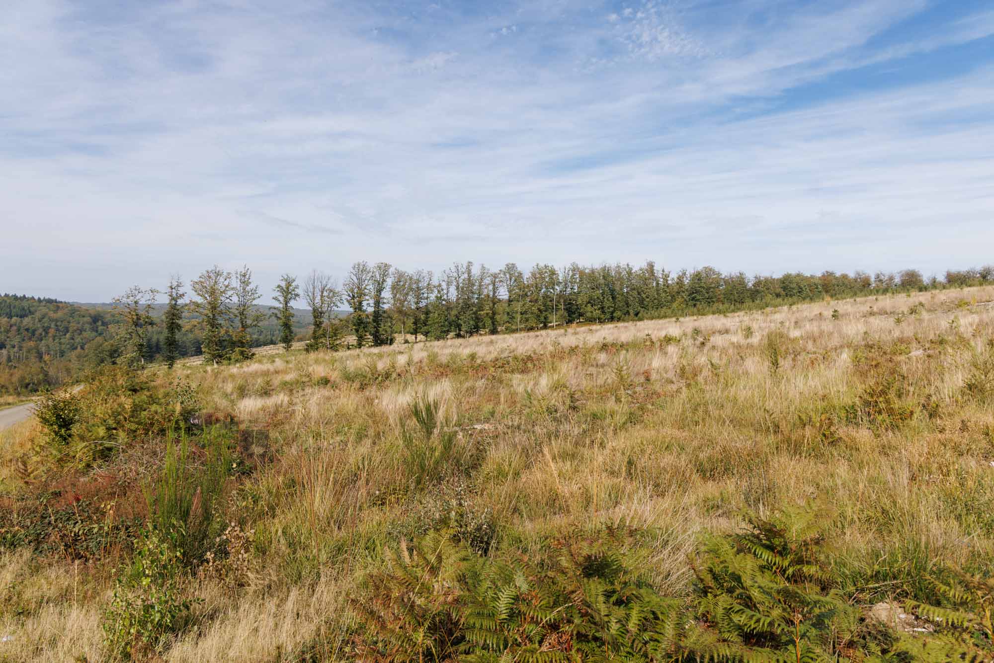 Herfst op het platteland van Gedinne