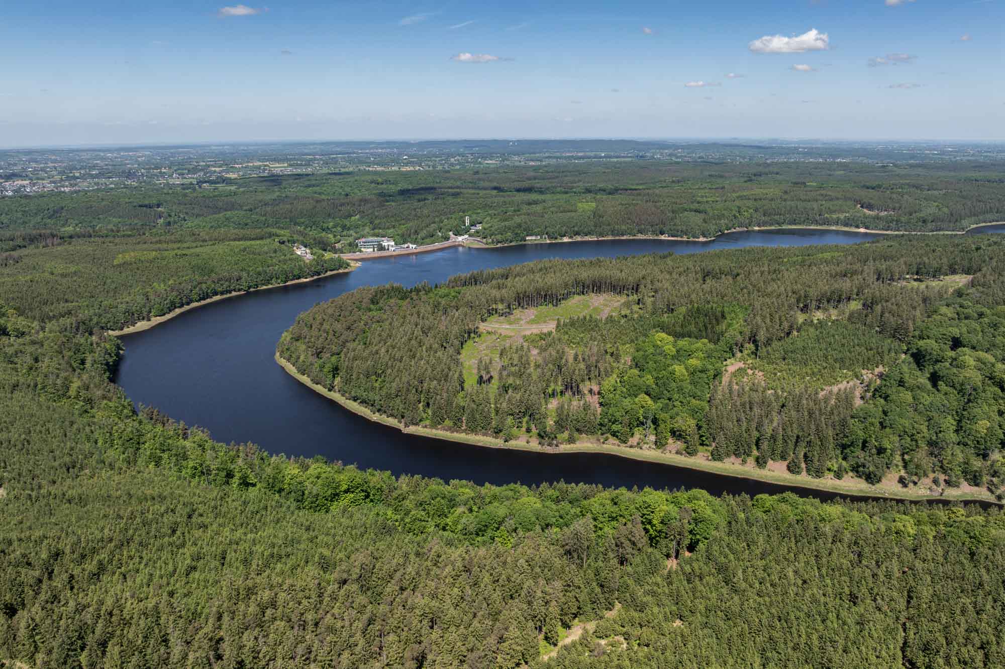 Vue aérienne du lac d’Eupen serpentant à travers une vaste forêt verdoyante.
