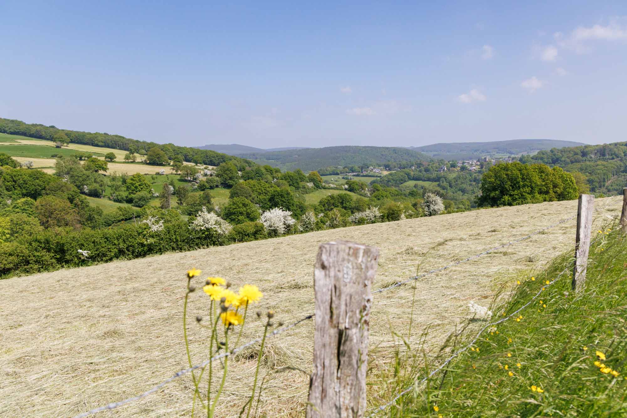 Vue sur les campagnes autour du village de Fanzel dans la commune d'Erezée