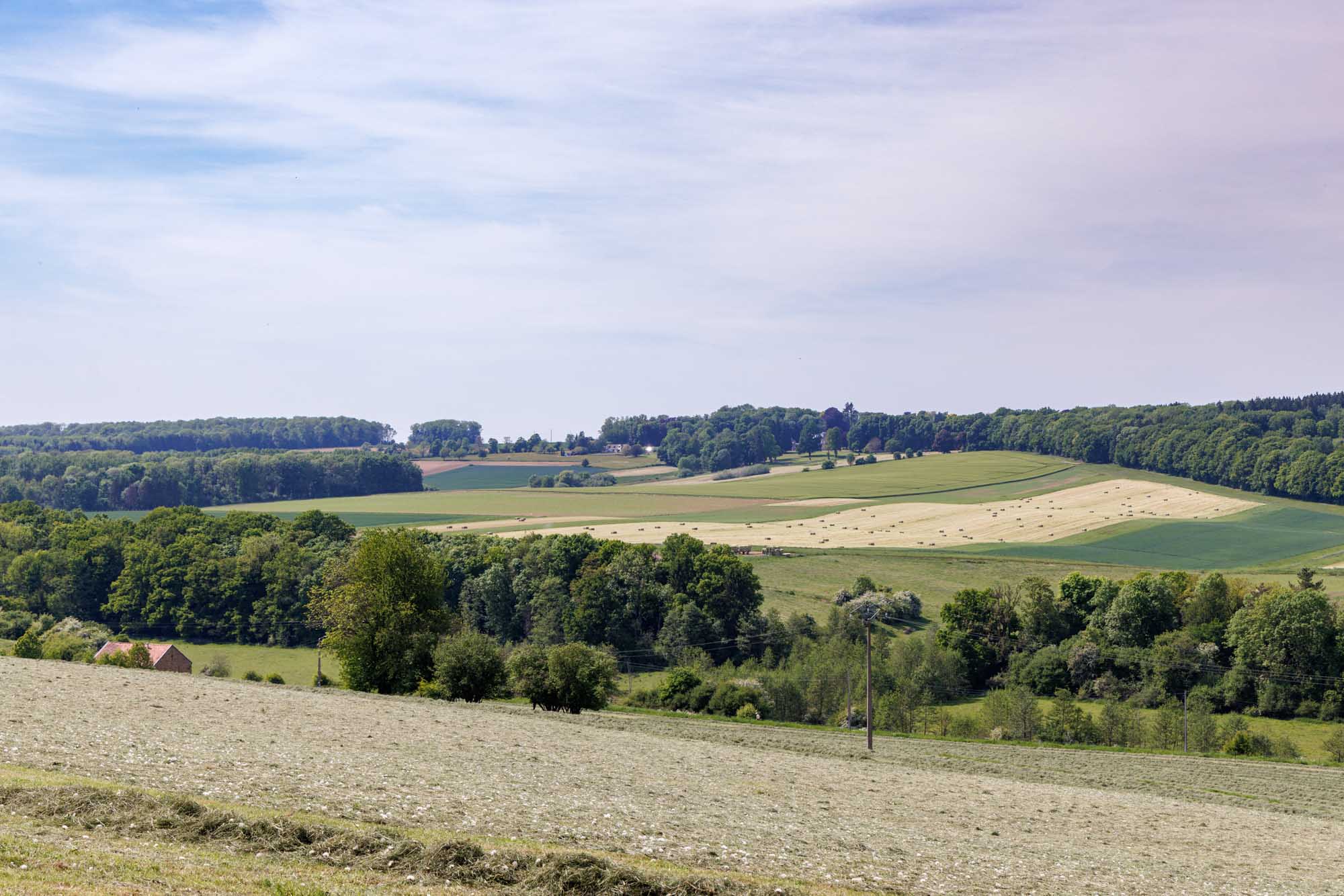 Champs et collines agricoles autour d’Ossogne en région condruzienne.