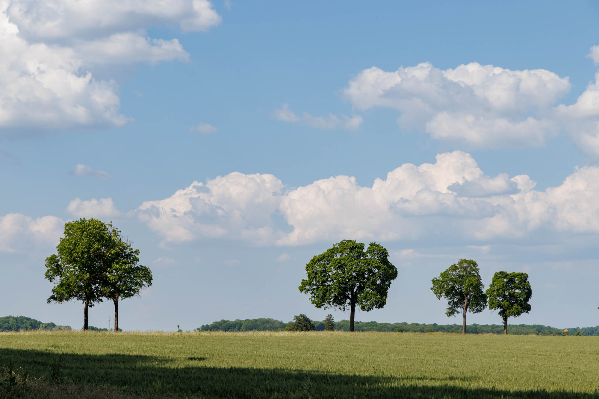 Campagne condruzienne autour de Havelange