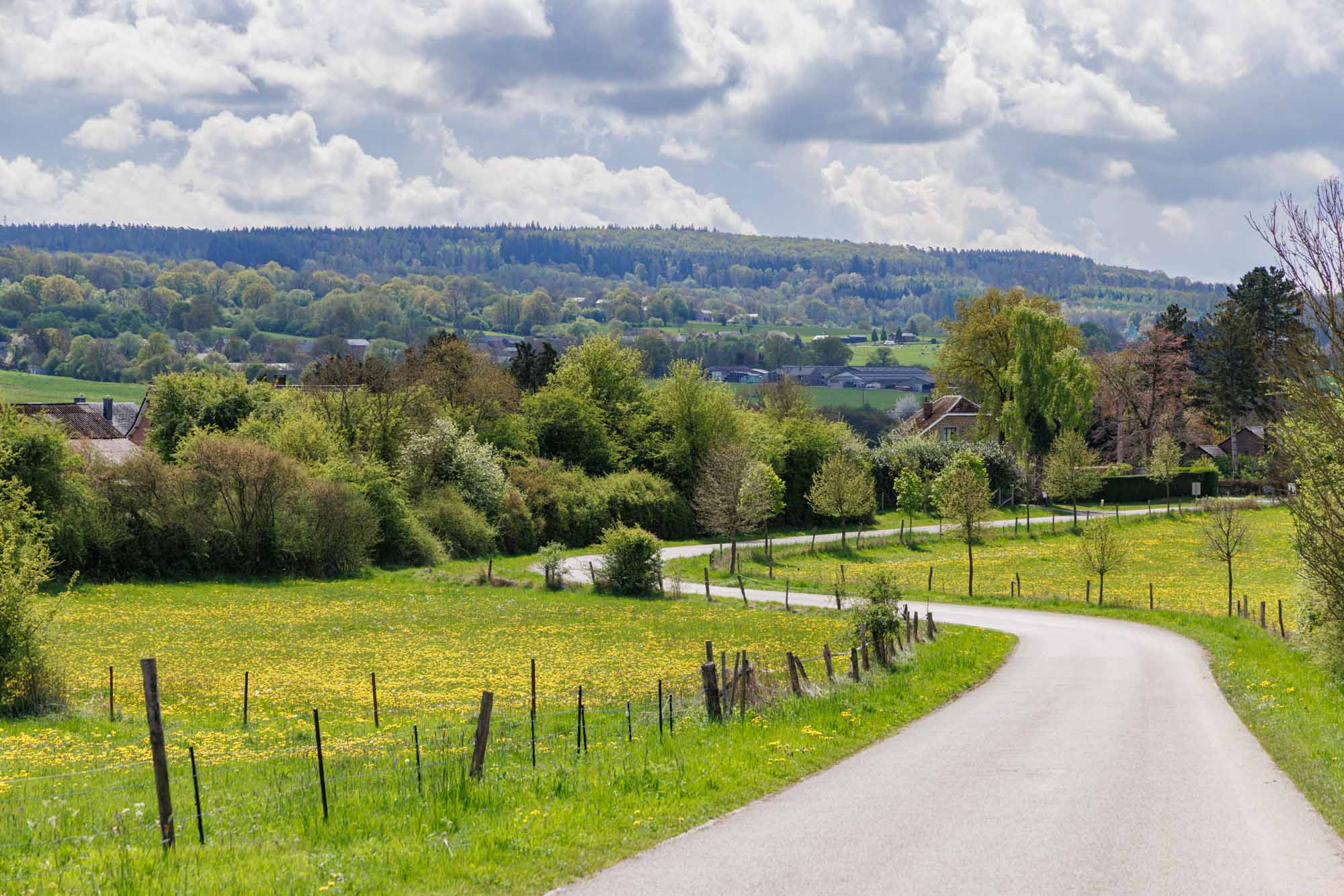 Route de campagne menant au petit village de Tour, près de Barvaux-sur-Ourthe