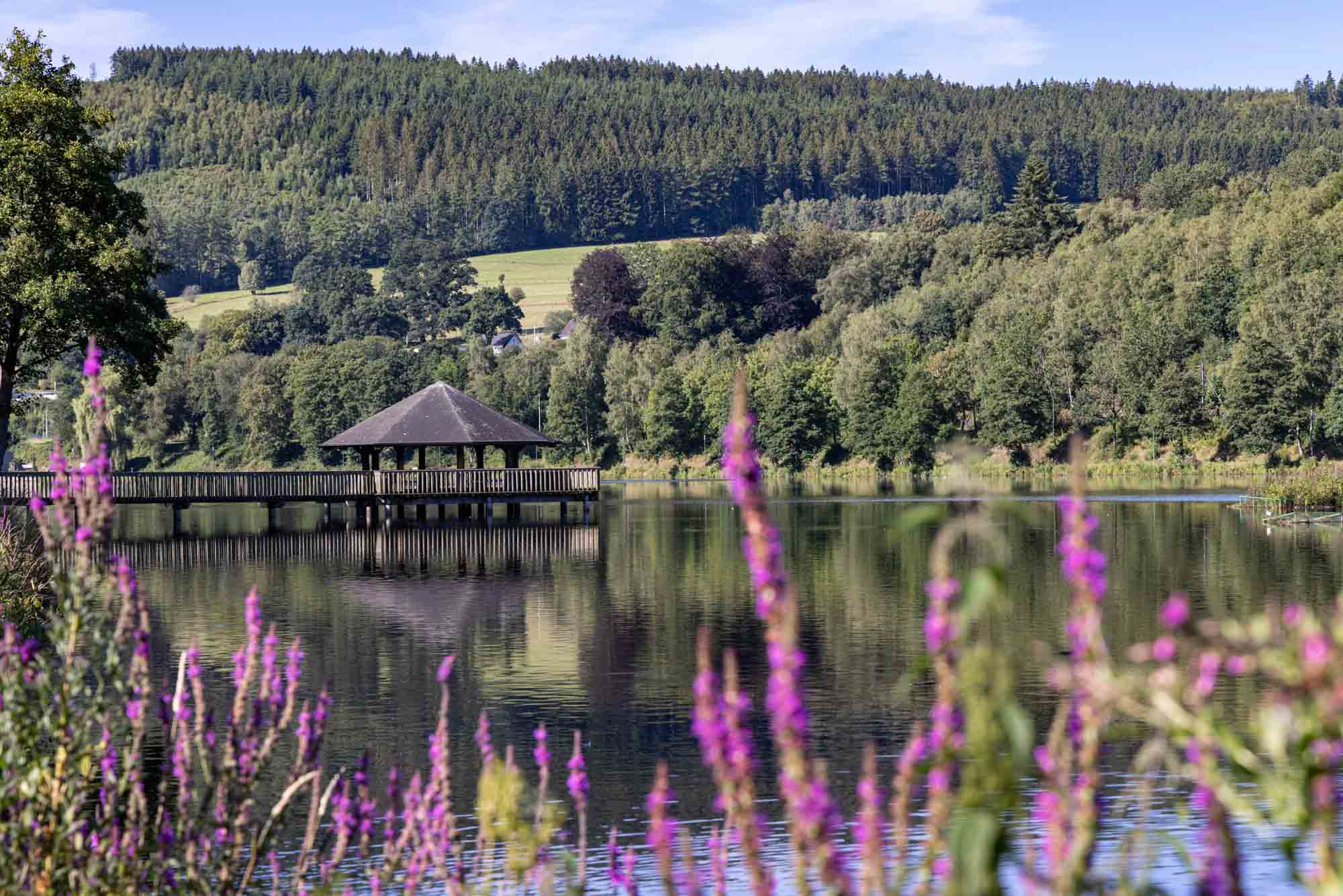 Ponton op het Lac des Doyards in Vielsalm