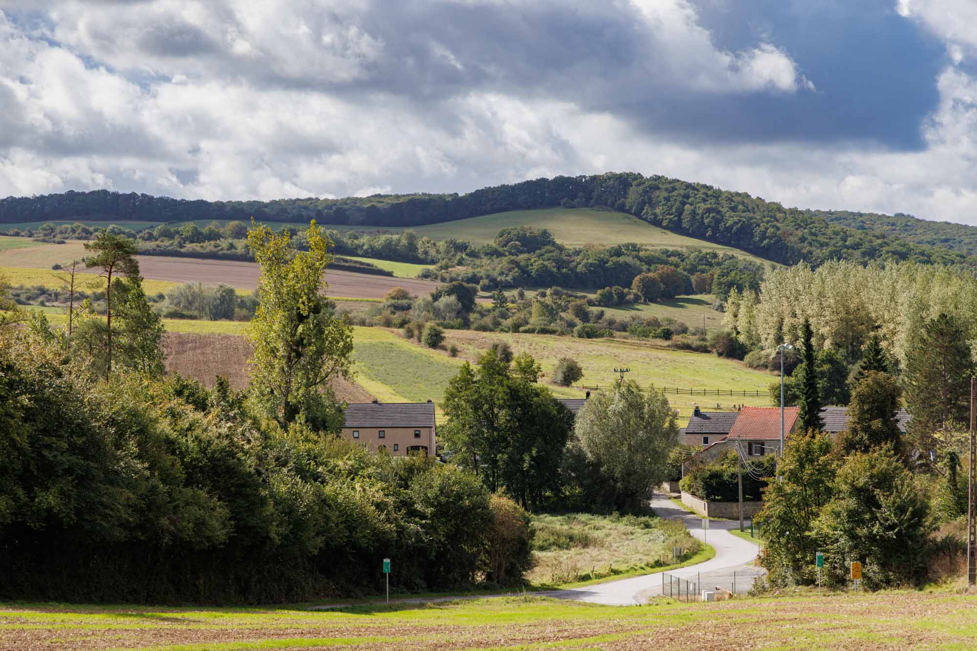 Dion avec collines agricoles et lisières boisées sous un ciel nuageux