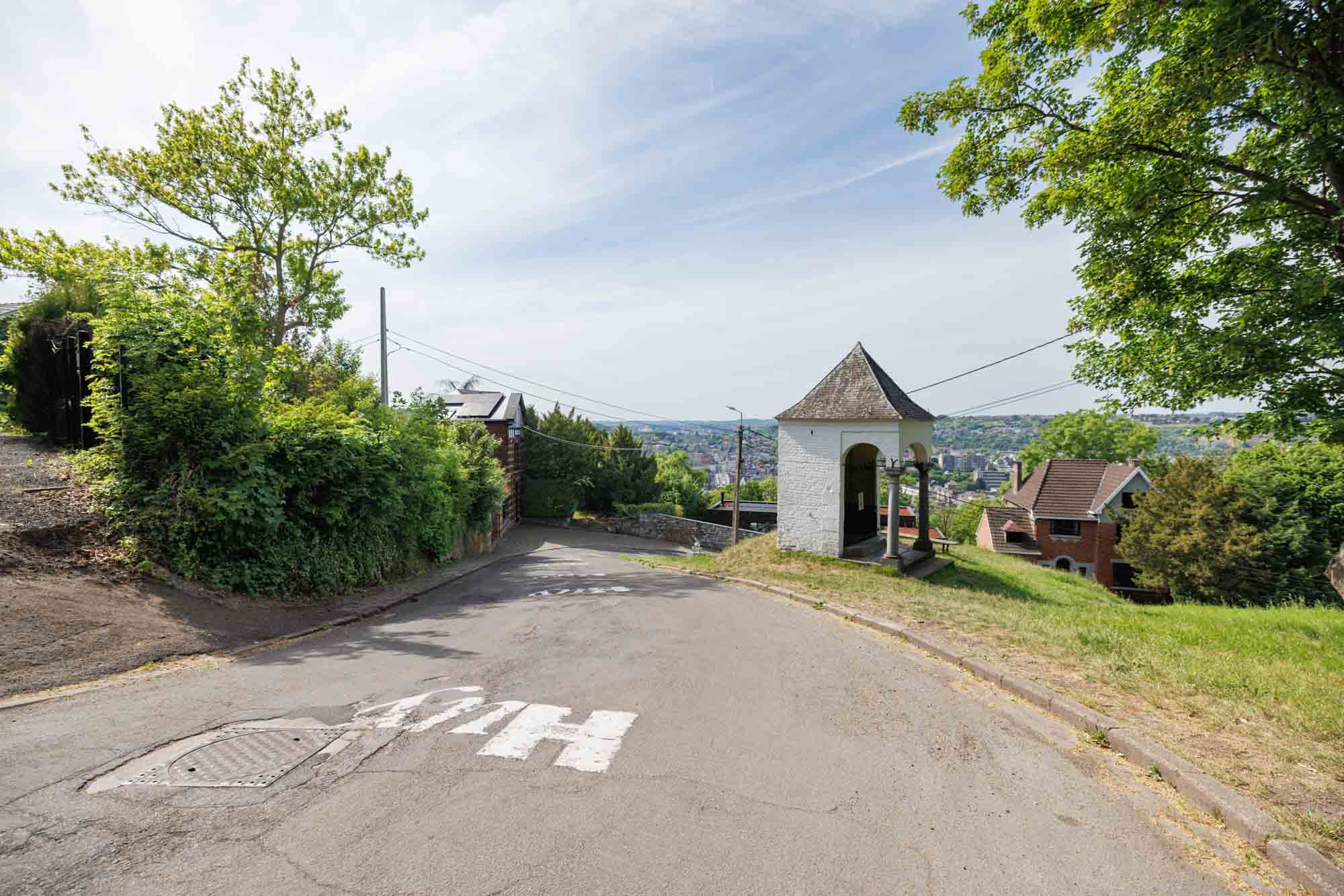 Vue du Mur de Huy au printemps, avec sa pente emblématique bordée de maisons et de verdure.