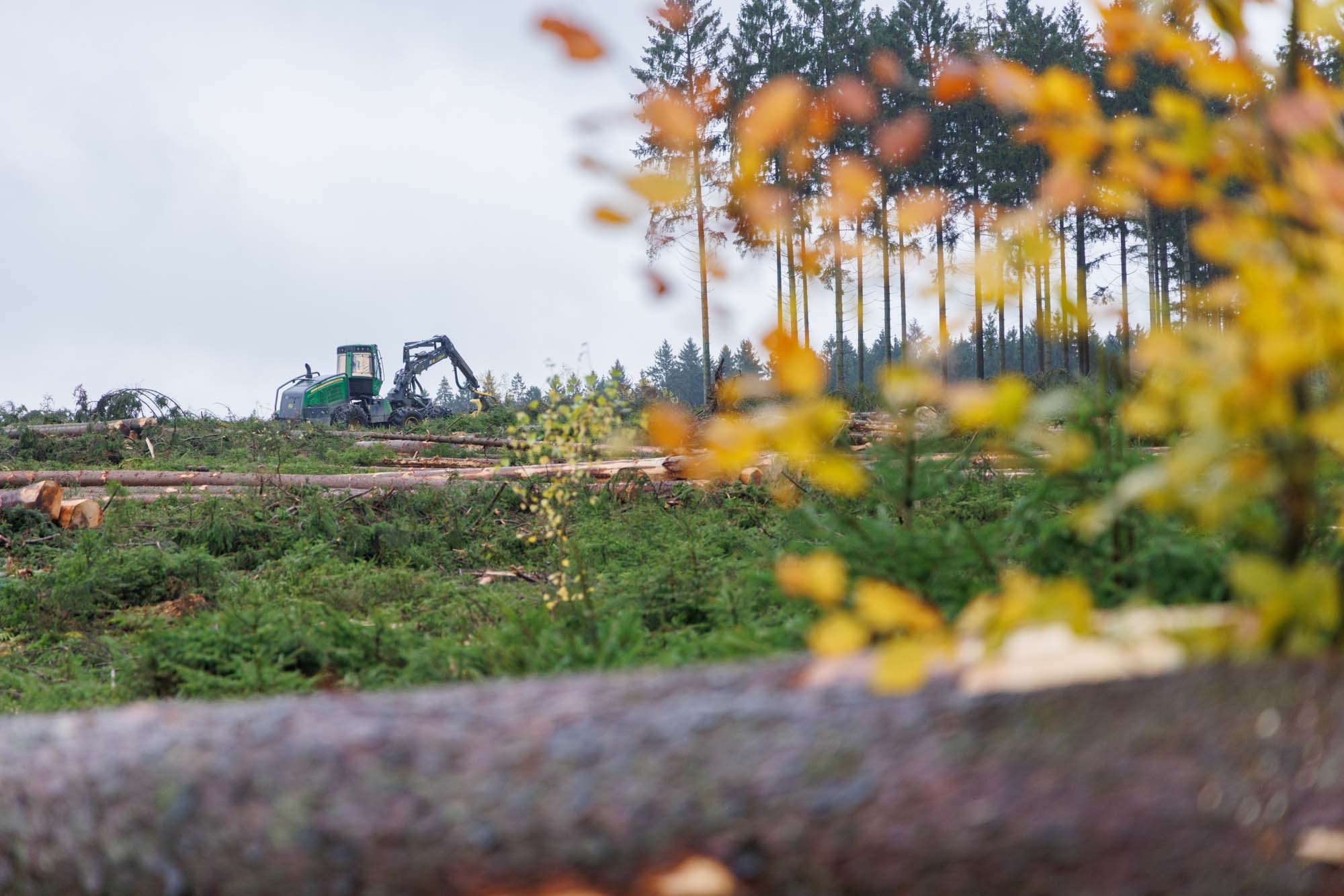 Machine forestière à Smuid sur un terrain de coupes entouré de jeunes arbres