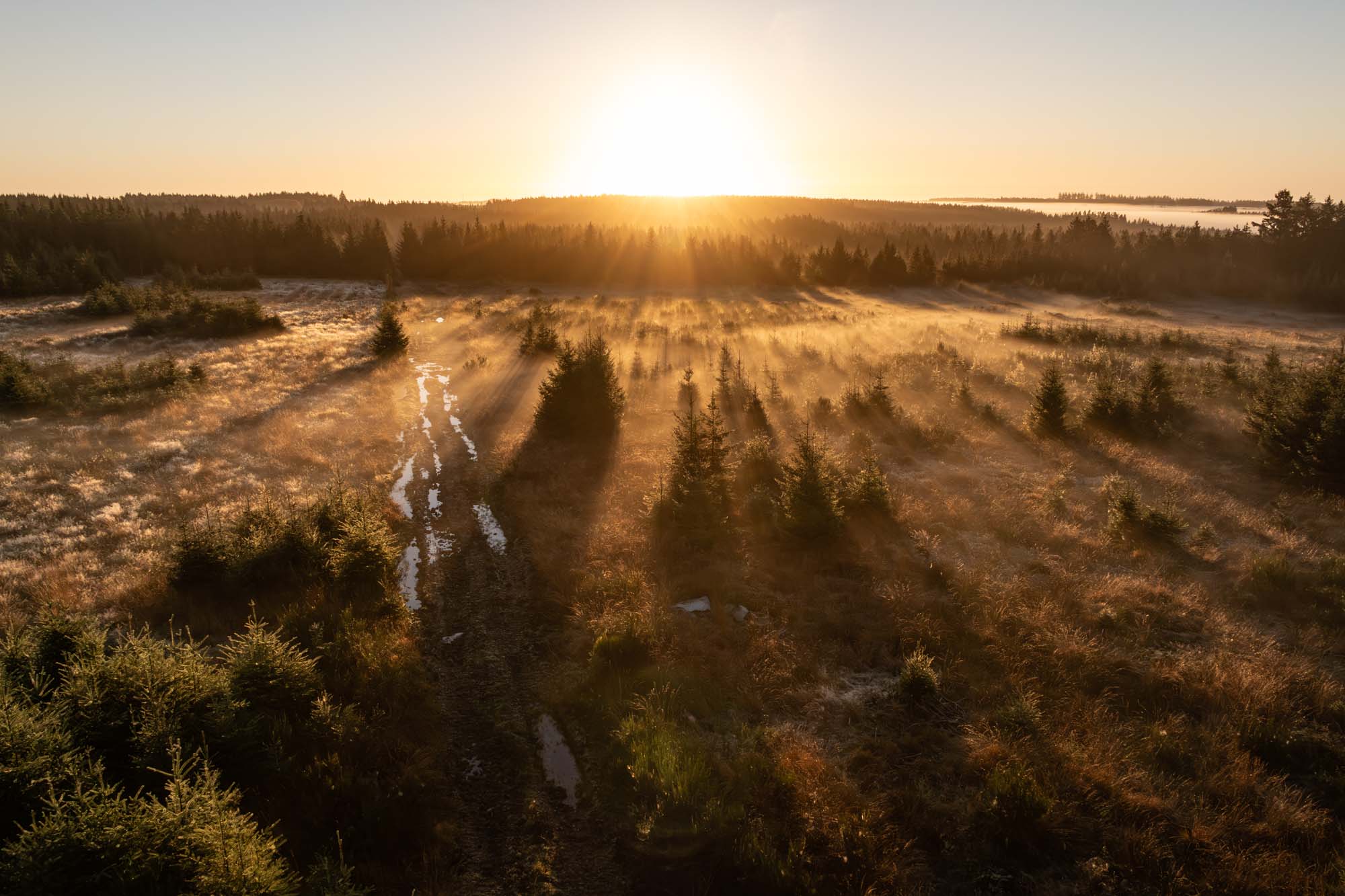 Lever de soleil sur la Baraque de Fraiture en automne