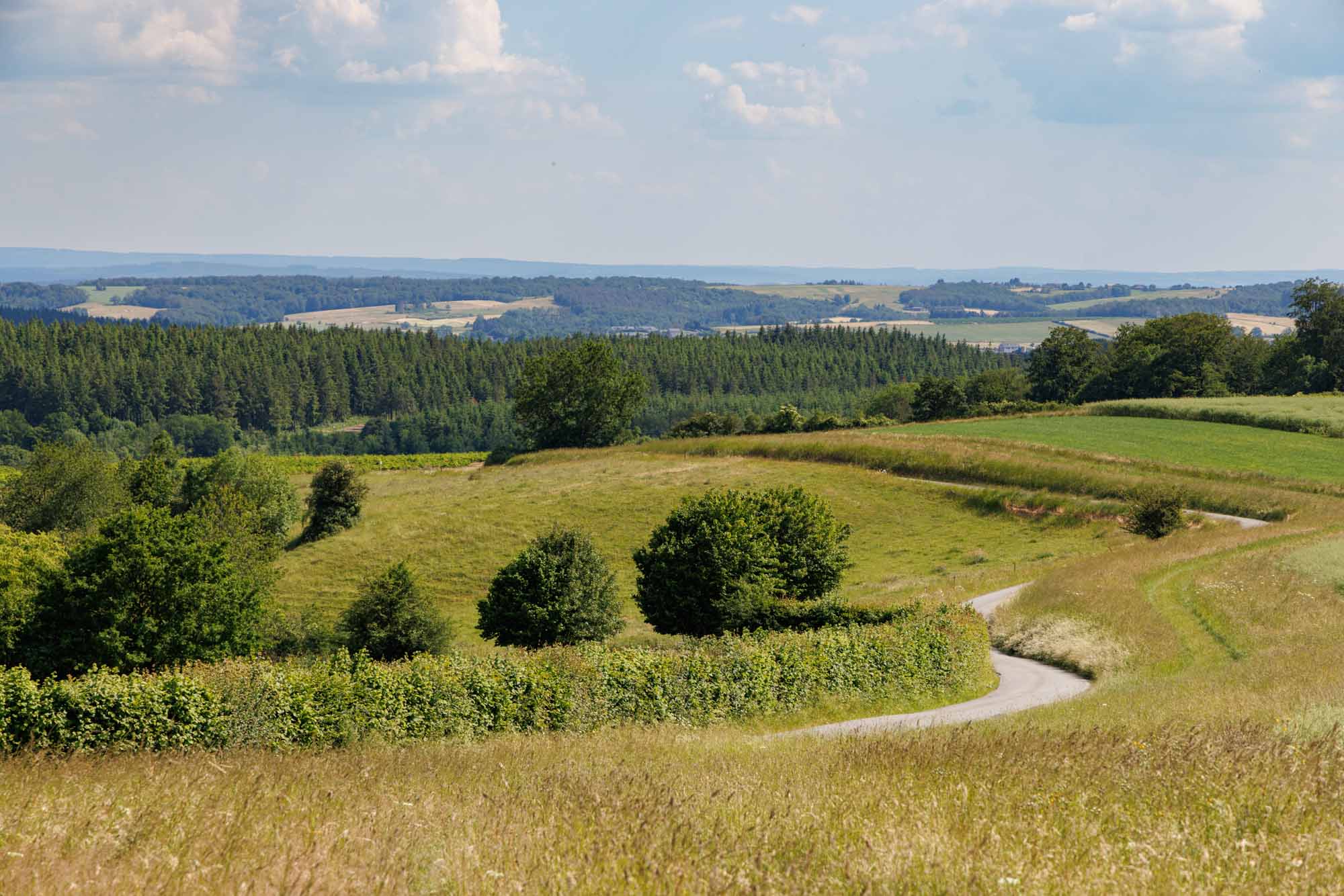 Vue sur la Famenne depuis Champs du Bois